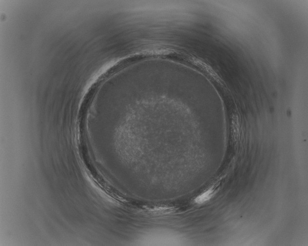 X0000076080726200610061615