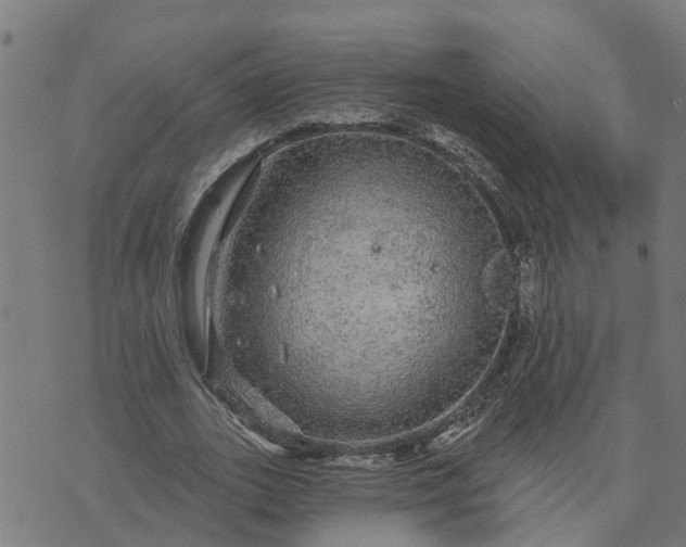 X0000076080727200610061615