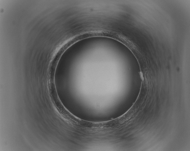 X0000076080728200610061615