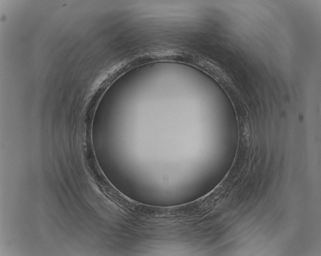 X0000076080732200610061615