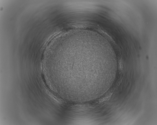 X0000076080733200610061615