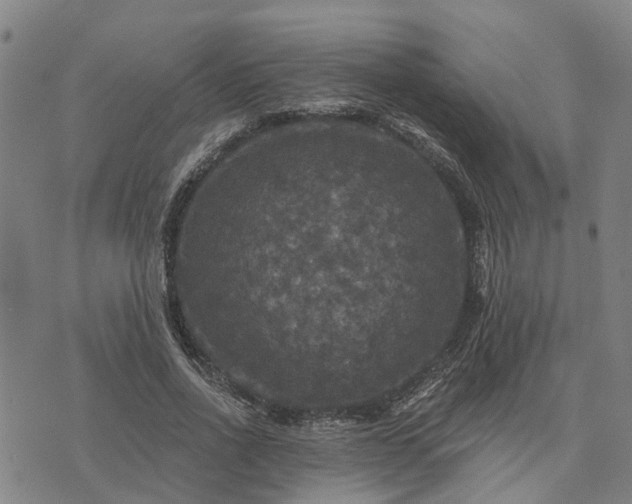 X0000076080734200610061615