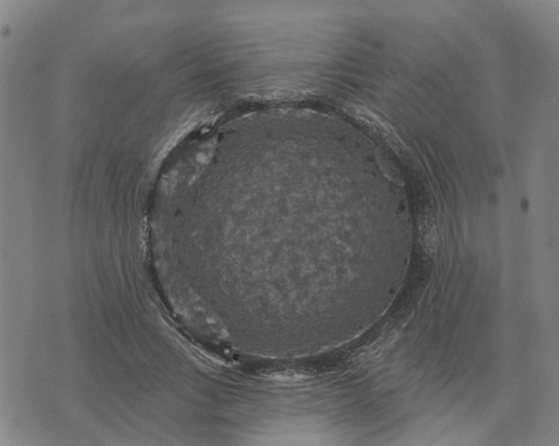 X0000076080735200610061615