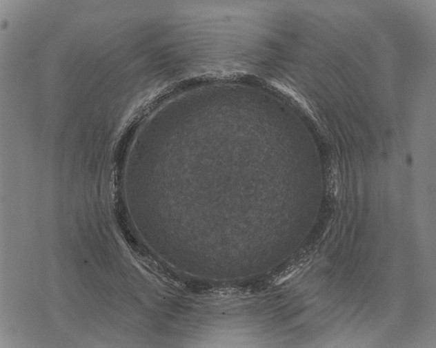 X0000076080736200610061615