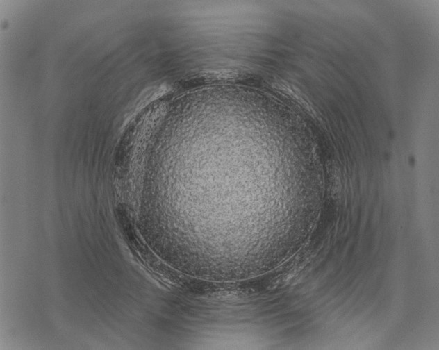 X0000076080738200610061615