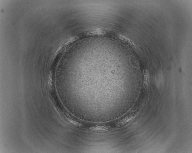 X0000076080739200610061615