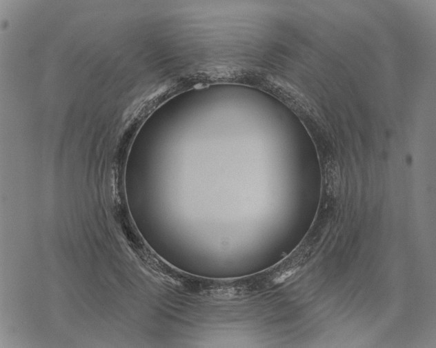 X0000076080740200610061615