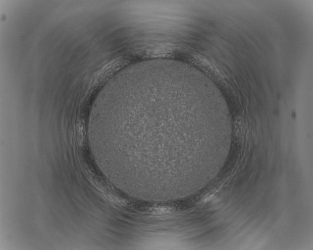 X0000076080741200610061615