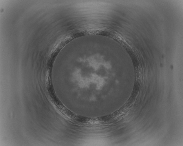 X0000076080742200610061615