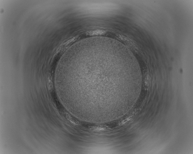 X0000076080743200610061615