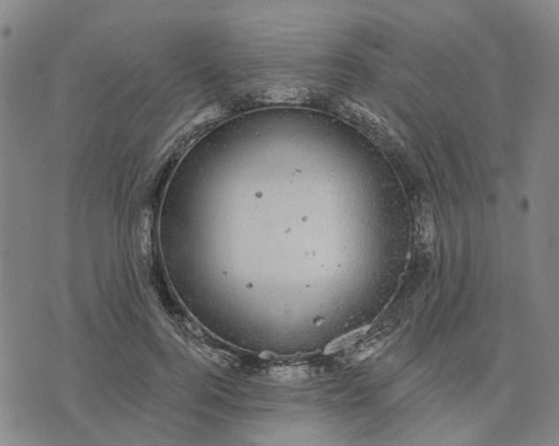 X0000076080744200610061615