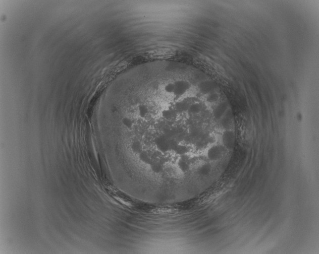 X0000076080745200610061615