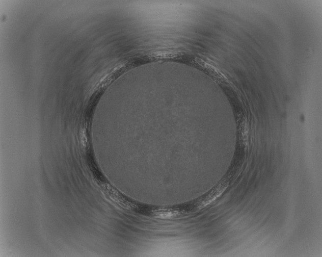 X0000076080746200610061615