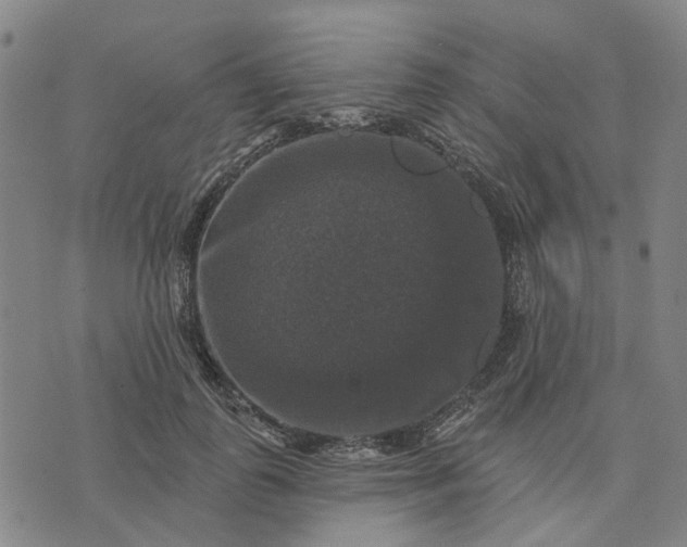 X0000076080747200610061615