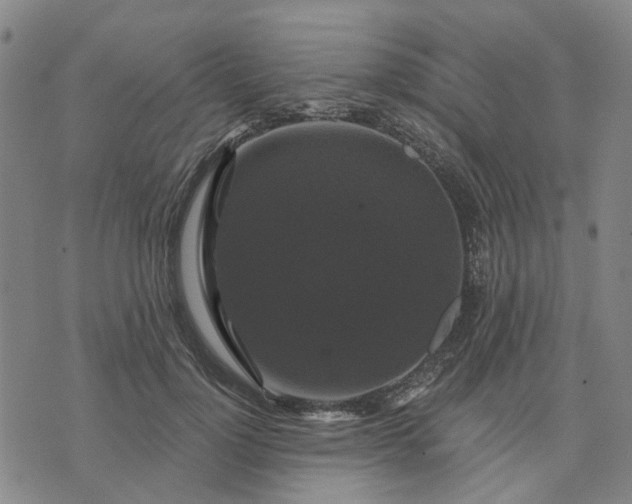 X0000076080748200610061615