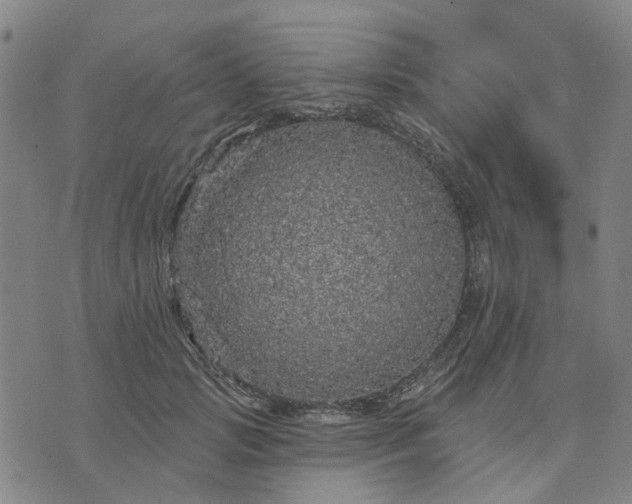 X0000076080749200610061615