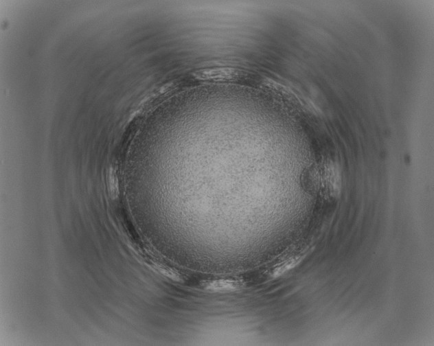 X0000076080751200610061616