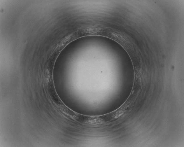 X0000076080752200610061616