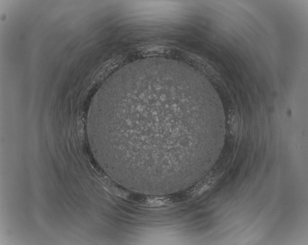 X0000076080753200610061616