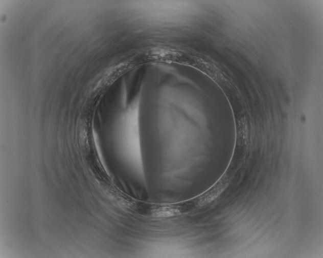 X0000076080754200610061616