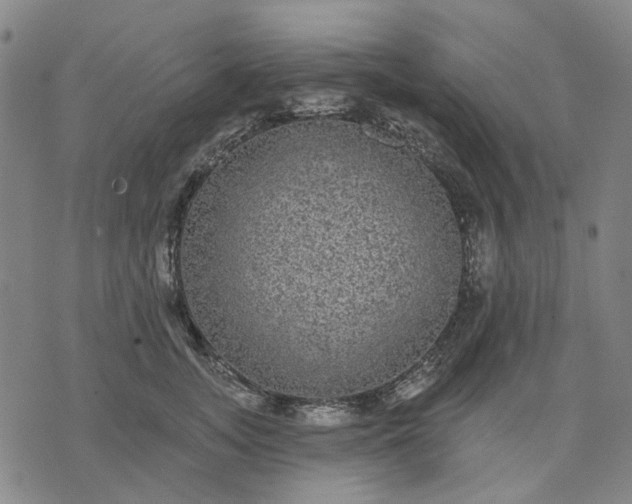 X0000076080755200610061616