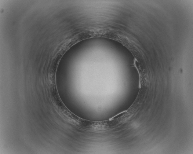 X0000076080756200610061616