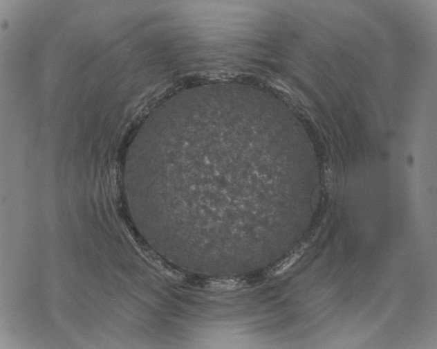 X0000076080757200610061616