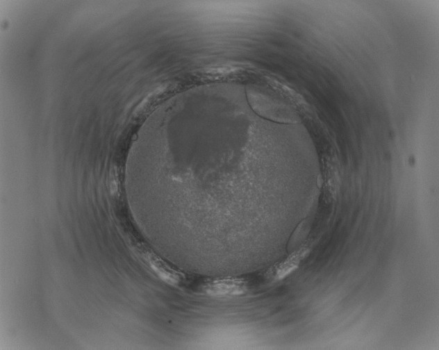 X0000076080758200610061616