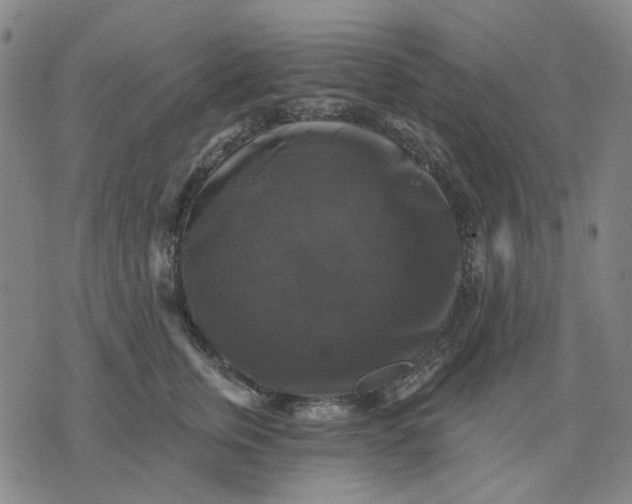 X0000076080759200610061616