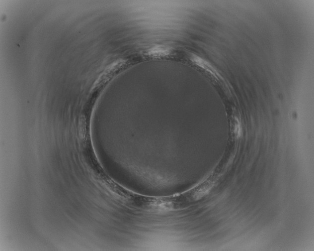 X0000076080760200610061616