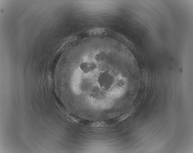 X0000076080761200610061616