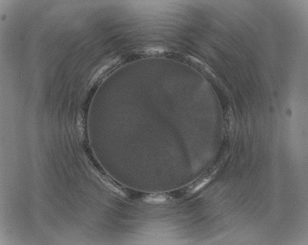 X0000076080762200610061616