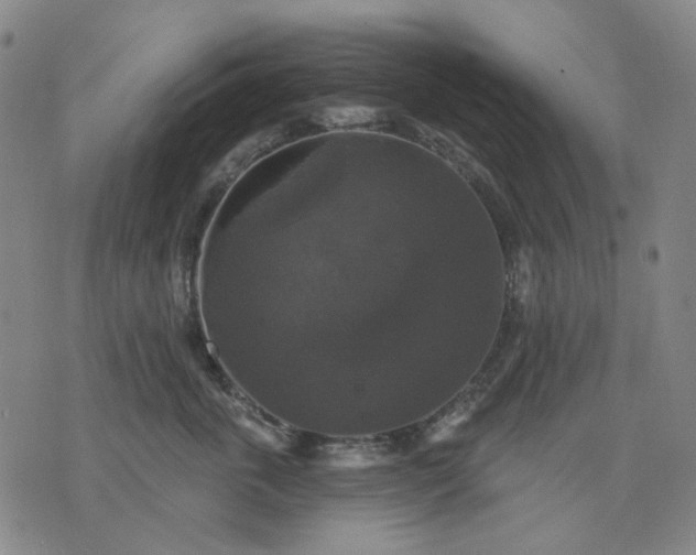 X0000076080763200610061616