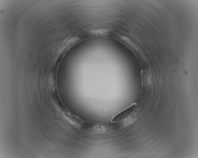 X0000076080764200610061616