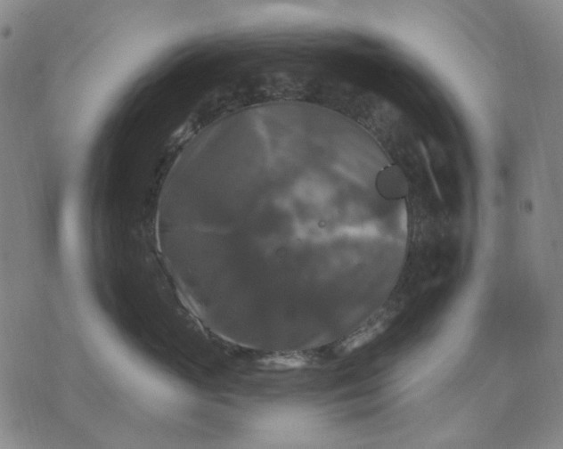 X0000076080765200610061616