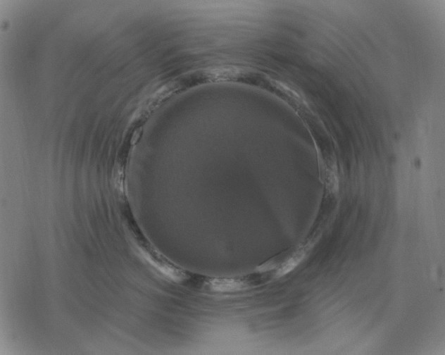 X0000076080766200610061616