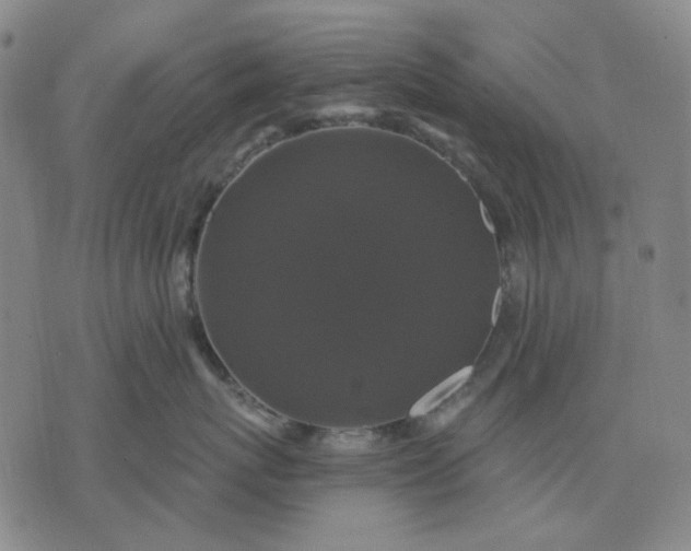 X0000076080767200610061616