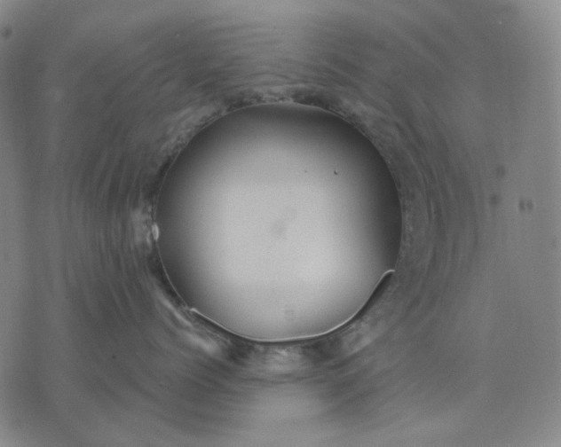 X0000076080768200610061616