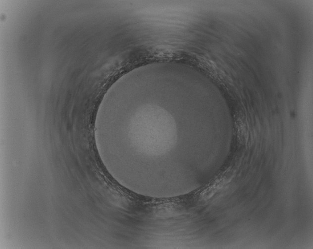 X0000076080769200610061615