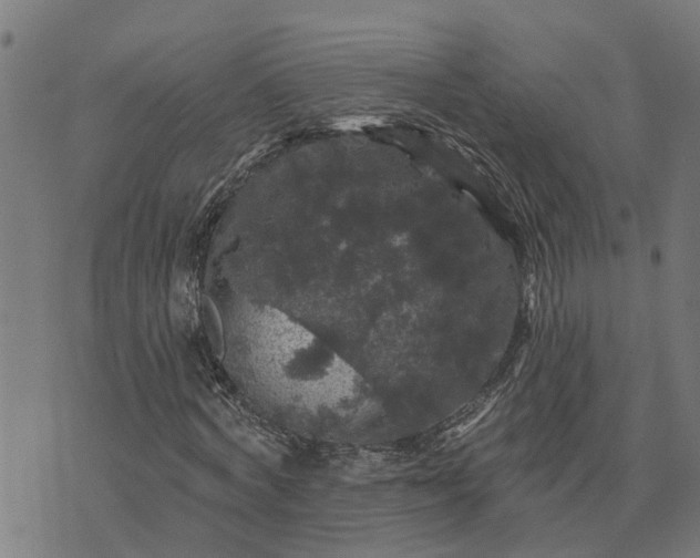 X0000076080772200610061615