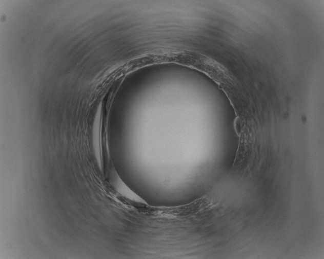 X0000076080773200610061615