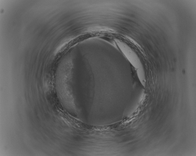 X0000076080775200610061615