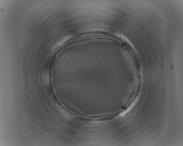 X0000076080777200610061615