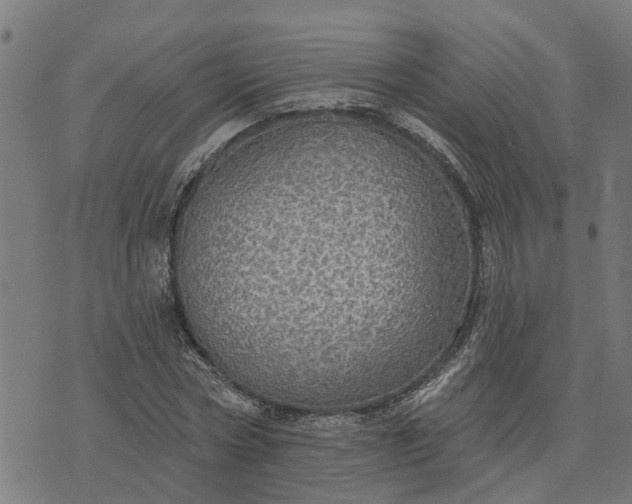 X0000076080778200610061615