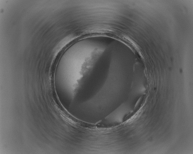 X0000076080779200610061615