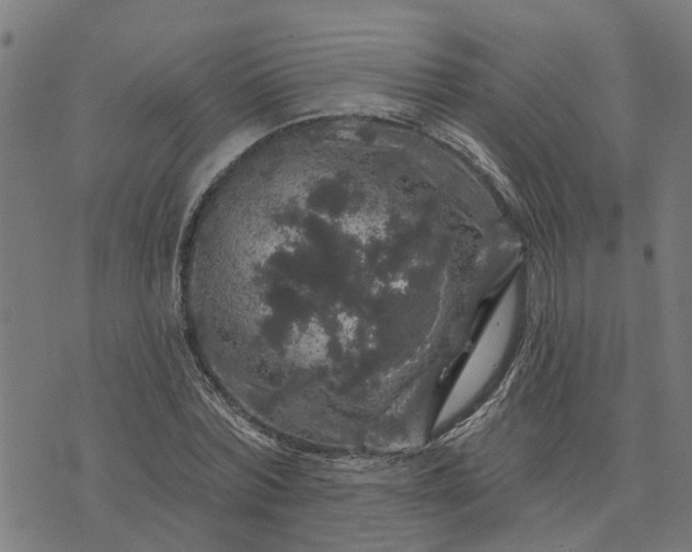 X0000076080780200610061615