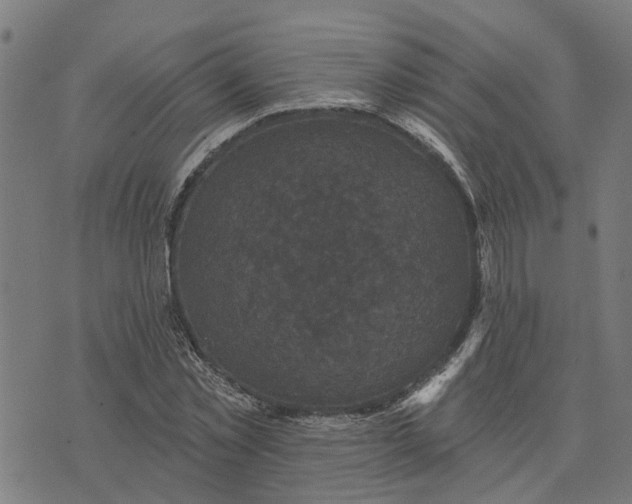 X0000076080781200610061615