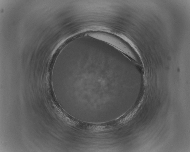 X0000076080783200610061615