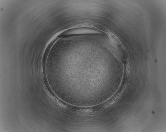 X0000076080784200610061615