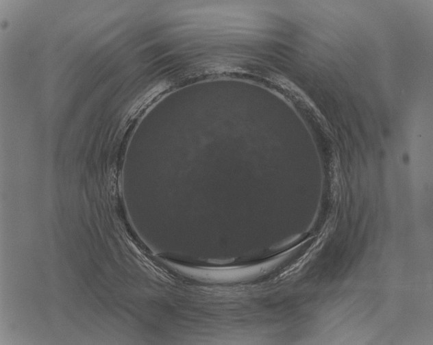 X0000076080785200610061615